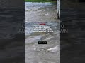 Floods sweep crocodile into Australian town  - 00:51 min - News - Video