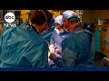 Man receives worlds 1st pig kidney transplant