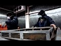 Mexico races to eradicate the parasite threatening its cattle industry | REUTERS