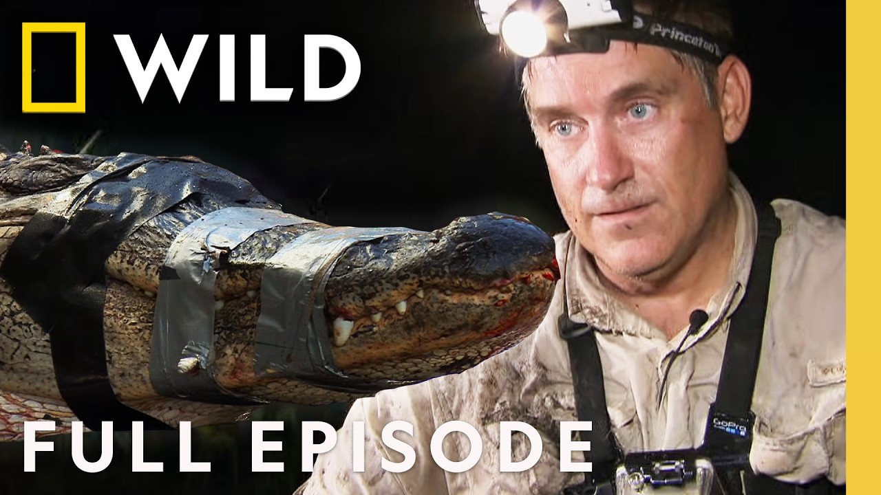 Following the Phantom Killer (Full Episode) | Dangerous Encounters | Nat Geo Animals