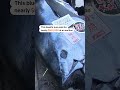Tuna sold for nearly $800,000 in Japan  - 00:29 min - News - Video