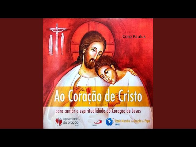Preview do vídeo