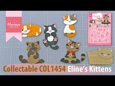 Eline's Kitten Dies