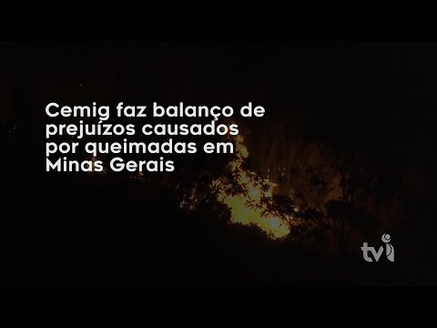 Vídeo: Cemig faz balanço de prejuízos causados por queimadas em Minas Gerais