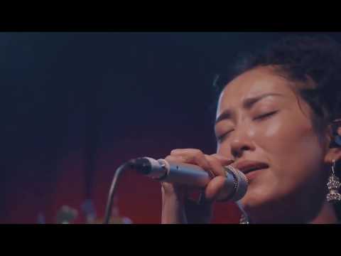 央吉瑪 (Yunggiema) 蓮花祕境 西藏墨脫音樂紀錄片