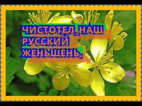 монастырская трава от паразитов монастырская трава от паразитов