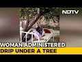 Madhya Pradesh Hospita Treats Pregnant Woman Under Tree:Hospital staff says no space inside