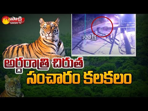 Leopard spotted in Sangareddy, CCTV footage