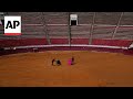 Bullfighting to return to Mexicos capital