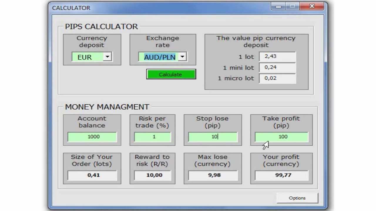 Forex margin requirement calculator