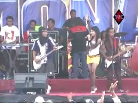 Mawar bodas Rena KDI Monata