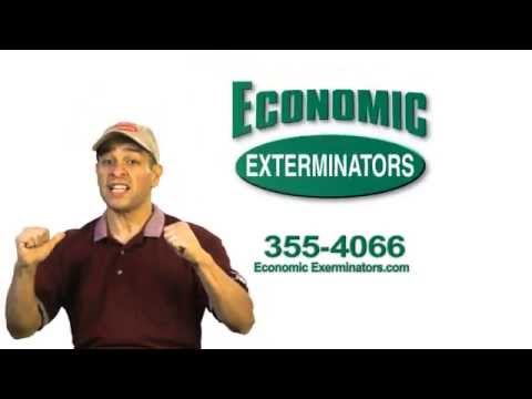 Economic Exterminators Cockroach by the numbers talkEconomic Exterminators Cockroach by the numbers talk