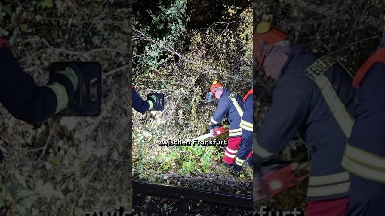 STURM „JOSHUA“ IN DEUTSCHLAND: Bäume stürzen, Züge stehen – Kreuzfahrt endet abrupt shorts