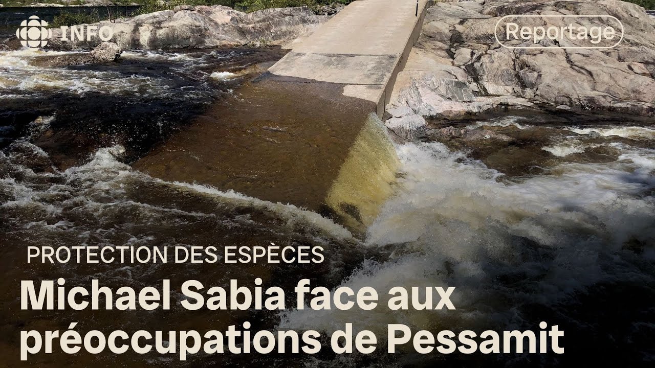 Discussions avec Hydro-Québec sur la gestion du saumon à Pessamit