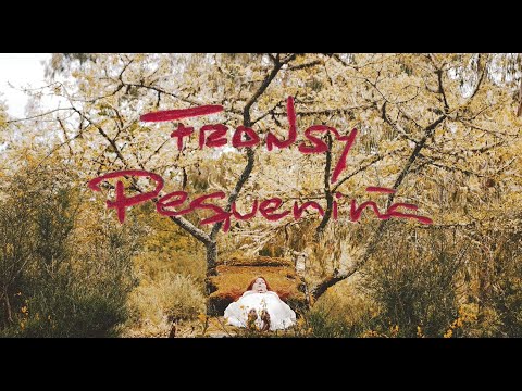 FRANSY - PEQUENIÑA 