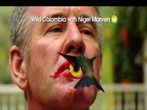 Wild Colombia'
