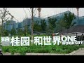 China property crisis: Country Garden woes deepen | REUTERS  - 01:28 min - News - Video