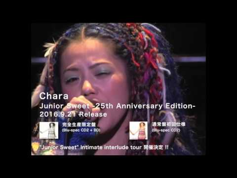Chara 「Junior Sweet -25th Anniversary Edition-」 トレイラー