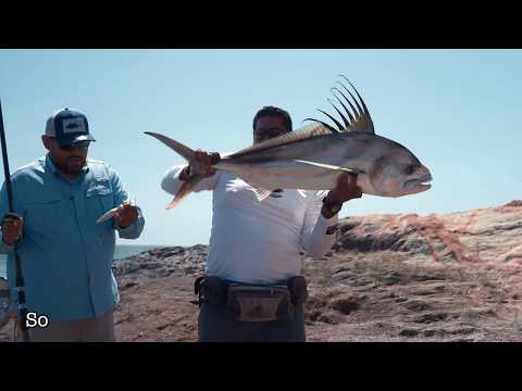 Surf fishing for big roosterfish in Cabo San Lucas
