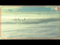 Sydney shrouded in thick morning fog  - 00:56 min - News - Video