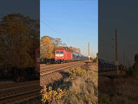 NeS/WFL 143 055 mit blauen Tadns von Ruhland nach Lutherstadt Wittenberg-Piesteritz in Lauchhammer