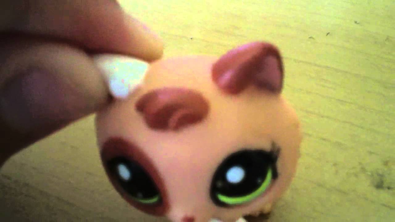 lps baby cat