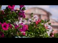 Panasonic Lumix DMC GH4 Kit _ Lumix GH4_