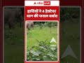 Viral Video  : हाथियों ने 4 हेक्टेयर धान की फसल बर्बाद |  #udaipur #kedma #elephantherd #sarguja