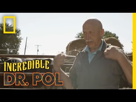 The Incredible Dr. Pol'