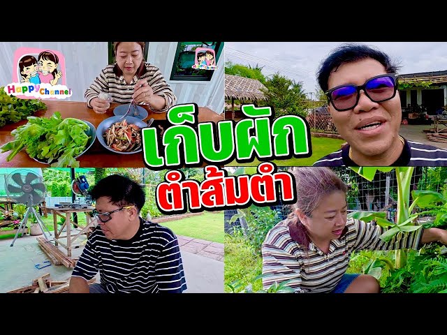 เก็บผักมาตำส้มตำ บ้านสวน EP36 Happy Channel
