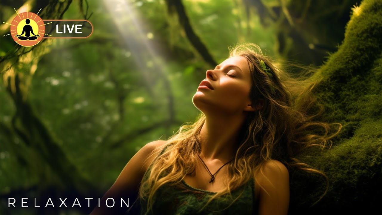 🔴 24 Hours of Deep Forest Ambient Music 🌿3398 | Calming & Peaceful Music for Study & Spa Meditation