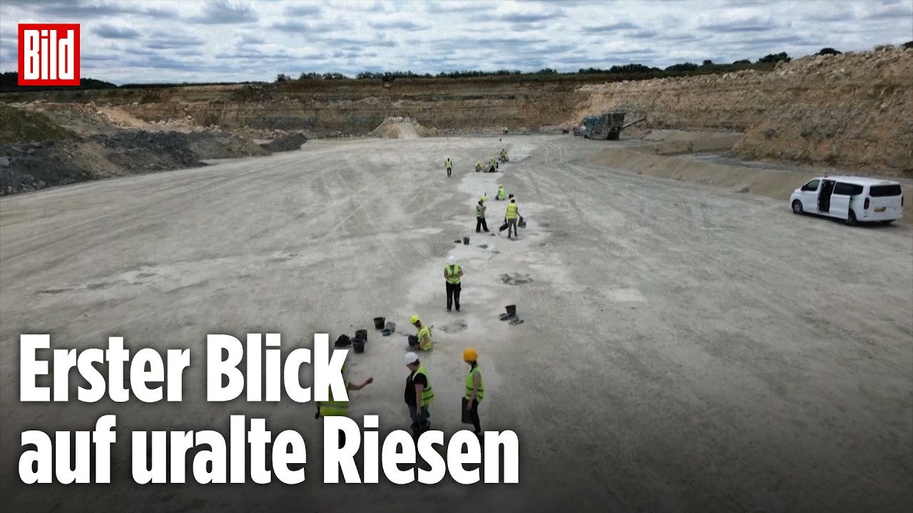 Großbritannien: Gigantische Dino-Fußabdrücke entdeckt