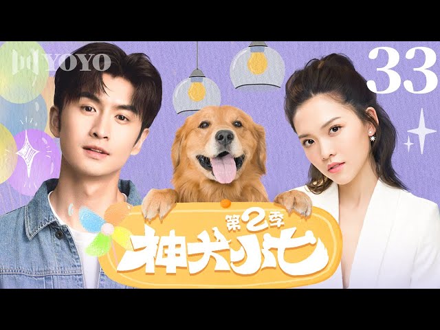 【FULL】EP 33|"戴维遇险，孙佼佼表白终成眷属  ”《神犬小七2》The Magic Dog 2（张云龙、王洋、王煜、江明洋、刘潺、伊莉莎 ）🌹优优青春剧场YoYo Fun Station