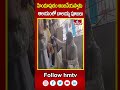 హిందూపురం ఆంజనేయస్వామి ఆలయంలో బాలయ్య పూజలు | Balakrishna Birthday Special Poojalu | hmtv  - 01:00 min - News - Video