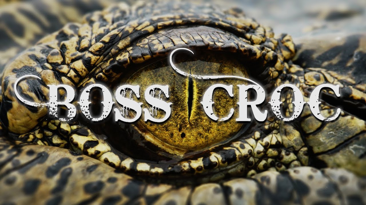 Boss Croc: King of the Crocodiles | Documentary