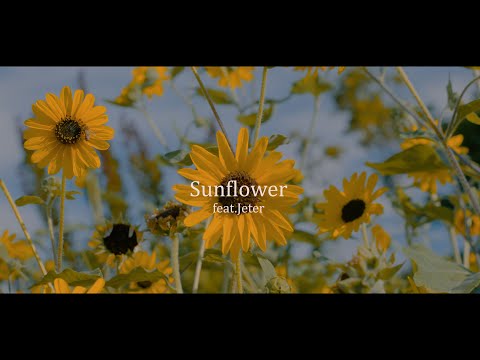 FARMHOUSE - Sunflower feat. Jeter (official music video)