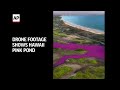 Drone video shows pink water in Hawaii pond  - 00:47 min - News - Video