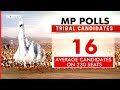 Madhya Pradesh Tribal Leaders Not Interested In Contesting? | MP Elections 2023