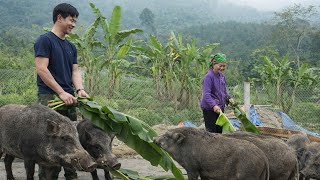 CEO Trieu Khangs compassionate and generous heart moved an elderly woman living alone to tears.