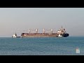 Three More Ships Loaded With Corn Sail From Ukrainian Ports  - 01:02 min - News - Video