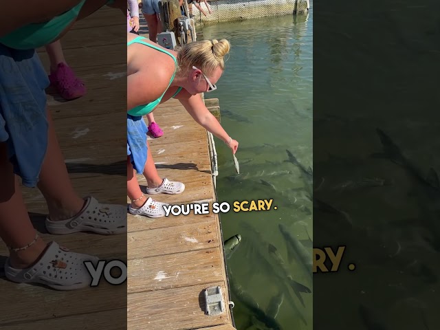 Wait for it 💀 😂