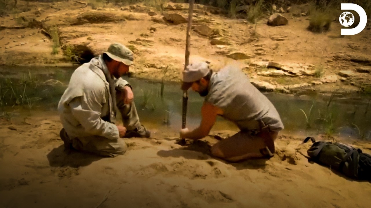 Best Survival Moments | Dual Survival S5 | Discovery Channel India