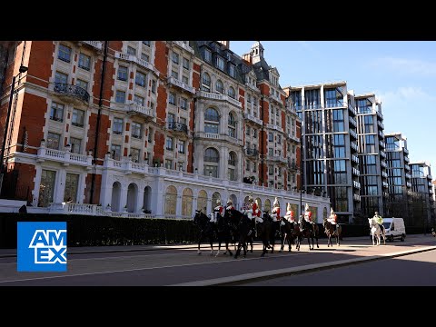 Official Brighton and Hove Albion FC - YouTube