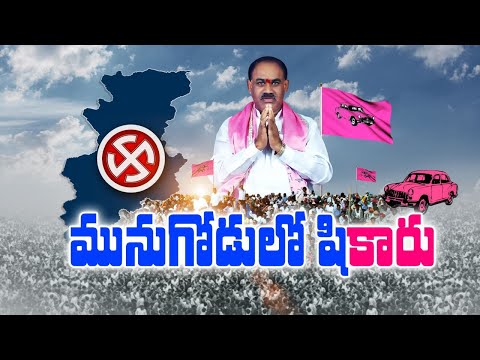 KTR comments on TRS victory in Munugode By-poll; KTR criticized PM Modi and Amith Shah