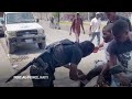 People run away from gunfire in another Haiti gang attack  - 00:59 min - News - Video