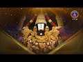శ్రీవారి నిత్యపూజలివిగో || Srivari Nitya Poojalivigo || 01-03-2024 || SVBC TTD  - 07:30 min - News - Video