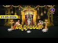 శ్రీవారి నిత్యపూజలివిగో || Srivari Nitya Poojalivigo || 23-05-2024 || SVBC TTD