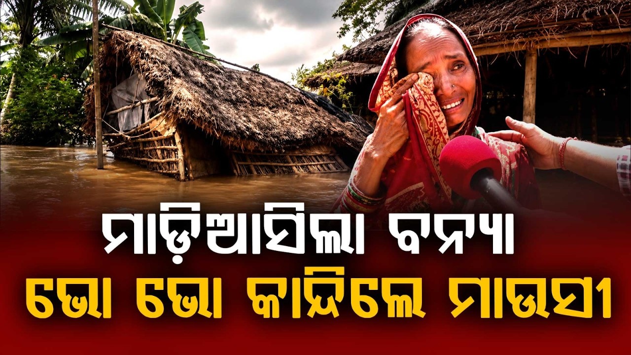 ଭୋ ଭୋ କାନ୍ଦିଲେ ମାଉସୀ | Kani River Breach | Devastating Floods Wash Away Everything | Jajpur Flood