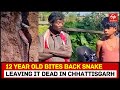 12-year-old boy bites back snake in Chhattisgarh