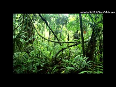 Nazim - Jungle Rap Beat (short version)